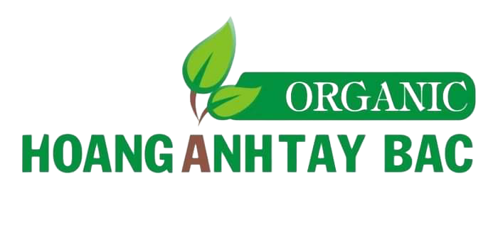 /SiteFolders/hoanganhtb/2420/Home/Logo_png.png