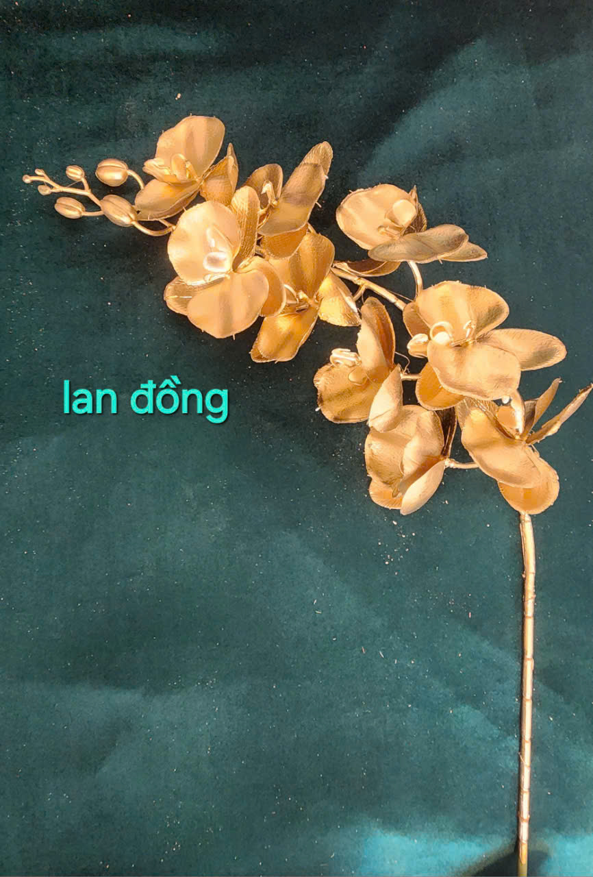 Lan đồng